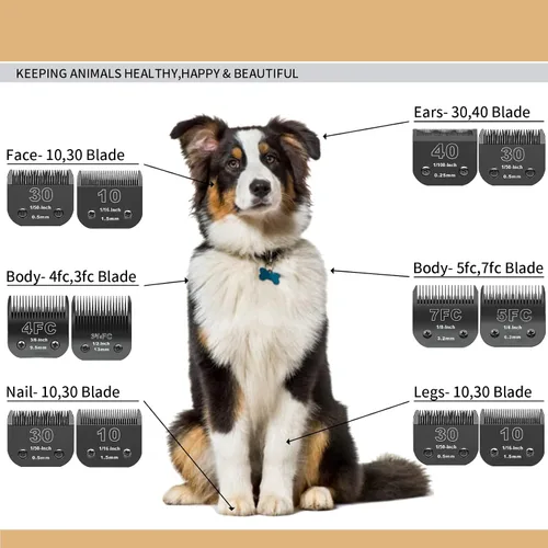 Vista 5 de Juego de cuchillas desmontables negras para perros compatibles con Andis Negro