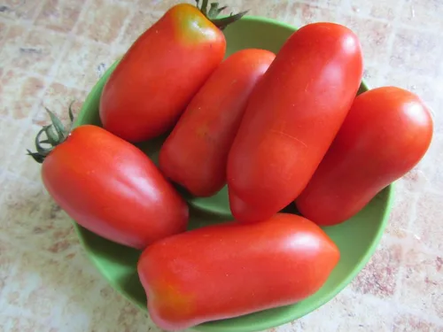 Vista 2 de Semillas Tomate en forma de pimiento indeterminado rojo largo vegetal reliquia sin OMG
