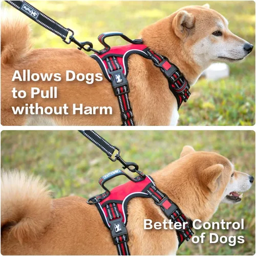 Vista 4 de PoyPet - Arnés para perro sin tirones, pechera reflectante con clip frontal, chaleco para mascotas sin estrangulamiento con asa vertical acolchada