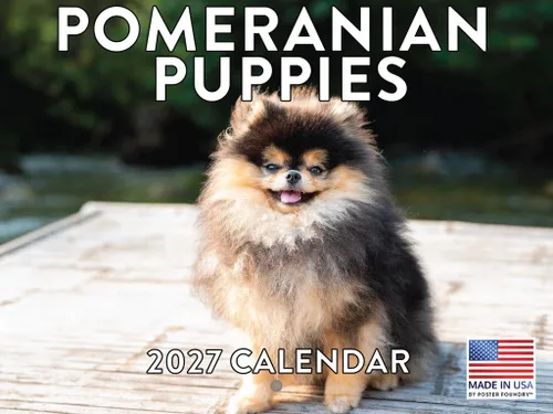 Vista 51 de Calendario mensual de pared Airedale Terrier Dog 2027