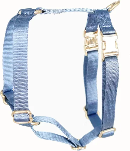 Vista 11 de Arnés de nailon para perro sin tirones con hebillas de metal doradas, arnés para perro fácil de caminar y entrenar (azul aire, XS)