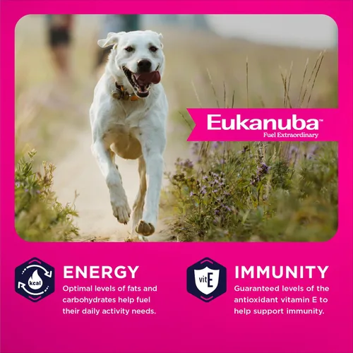 Vista 6 de Eukanuba Alimento seco para perros adultos de raza grande, bolsa de 4.5 libras