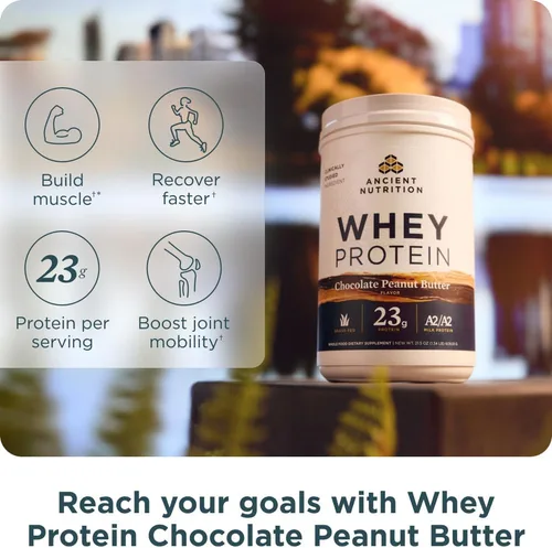 Vista 4 de Ancient Nutrition Proteína de suero alimentada con pasto, Chocolate Maní, 23g de proteína, 18 porciones, Péptidos hidrolizados de colágeno, Proteína