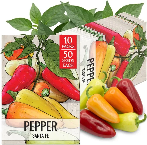 Vista 105 de Seed Needs - Semillas de pimiento arcoíris para plantar verduras, 1 paquete
