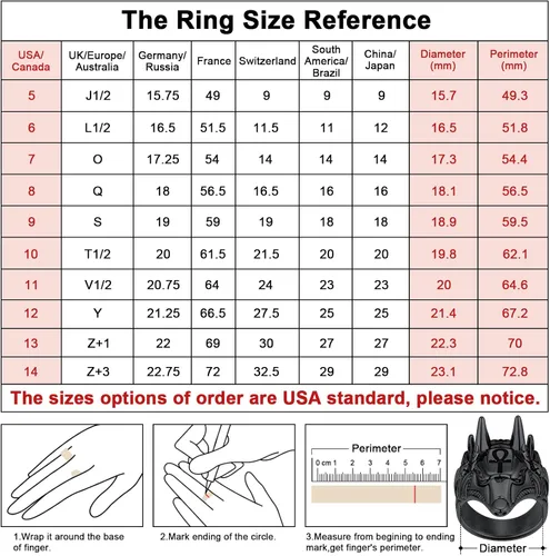 Vista 4 de FaithHeart Anubis - Anillos para hombres y mujeres, joyería de acero inoxidable resistente, anillo de amuleto de cruz Ankh, embalaje delicado, Acero