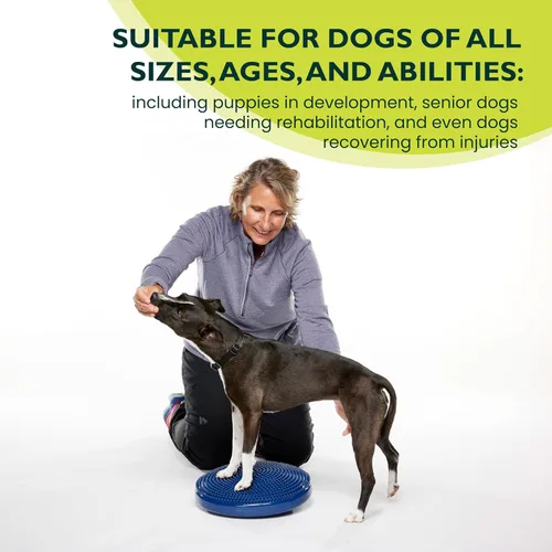 Vista 4 de FitPAWS® Disco de equilibrio para perros, 14 pulgadas, azul, equipo de ejercicio para perros, herramienta de entrenamiento para fuerza, núcleo