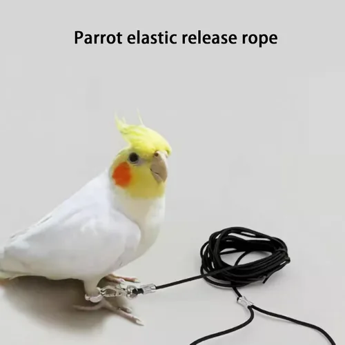 Vista 7 de Correa para pájaros al aire libre para loros, cuerda de entrenamiento de 9.8 ft de largo, ajustable, correa de pájaro para mascotas con anillos