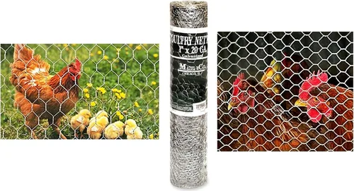 Vista 2 de Mazel 500150361 Red hexagonal para aves de corral, 36 pulgadas x 150 pies x 1 pulgada x calibre 20