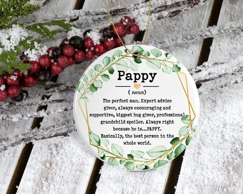 Vista 2 de Pappy Noun Ornamento – Adorno de Navidad para Pappy – Adorno del Día del Padre – Regalos de Pappy – Definición de Pappy – Recuerdo impreso en un lado
