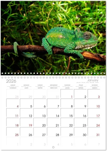 Vista 5 de REPTILES (calendario mensual de pared 2022 11.7 x 16.3 in (abierto)