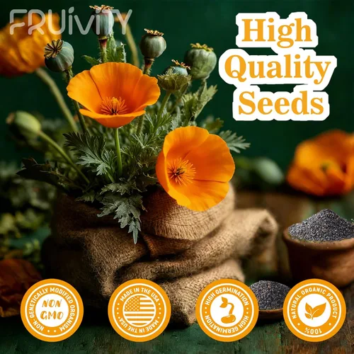 Vista 3 de Eschscholzia californica - Semillas de amapola de California (0.35 oz – más de 10.000 semillas) – Flores silvestres nativas a granel para plantar