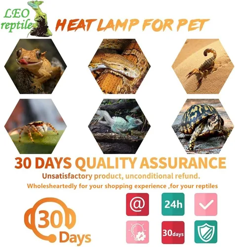 Vista 7 de Leoterra Bombilla de calor nocturno de reptiles de 50 W, lámpara de calor nocturna infrarroja roja de 10-20 galones, uso de terrario de vidrio
