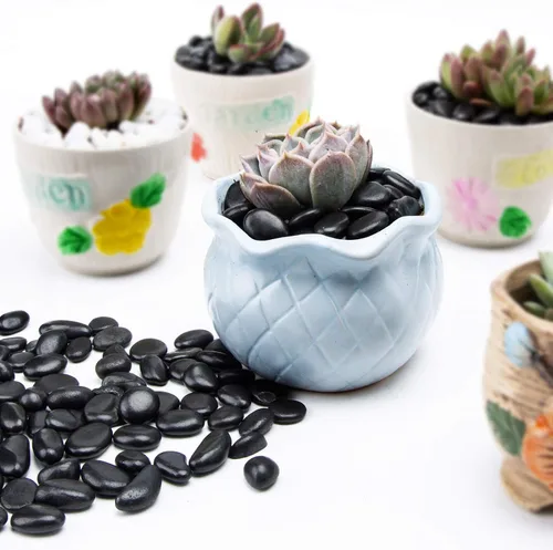 Vista 2 de Piedras pequeñas negras – Piedras decorativas para plantas de roca, piedras pulidas naturales de 3/8 pulgadas, grava para suculentas, grava