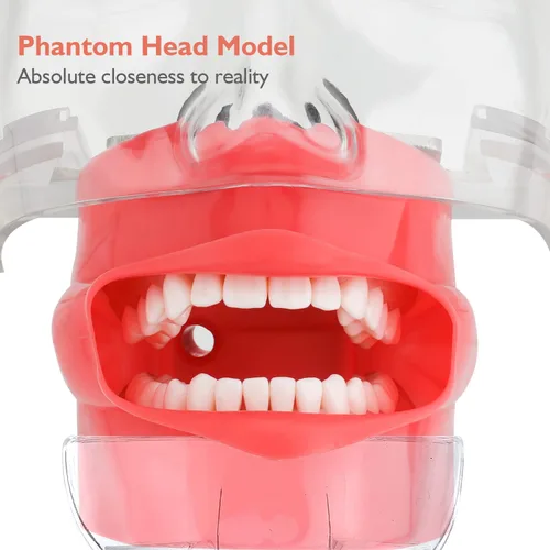 Vista 4 de Cabeza de maniquí de simulador dental, modelo de dientes Typodont, maniquí de entrenamiento de cabeza fantasma con soporte de banco fijo