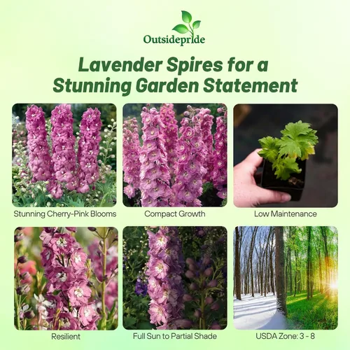 Vista 2 de Outsidepride Magic Fountains Delphinium Seeds - 100 semillas de flores perennes, autosembradas, tolerantes al calor y la sequía para plantar flores