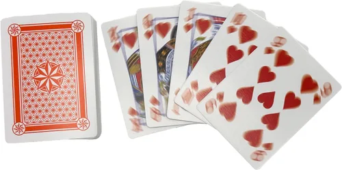 Vista 4 de Island Dogs Baraja borrosa de cartas – El mejor regalo de broma para jugadores, entusiastas de las cartas y amantes de las bromas – Regalo divertido