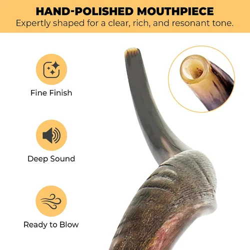 Vista 4 de YOMTOV-SHALOM Kudu Shofar a la venta Kosher de Israel Reyes Shofar Fábrica original de Shofar (13-18)