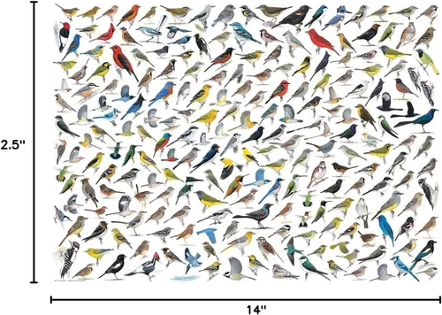 Vista 4 de EuroGraphics El mundo de los pájaros (1000 piezas) Puzzle