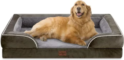 Vista 133 de Comfort Expression - Cama ortopédica para perros medianos, 28 x 19 pulgadas, cama impermeable y de apoyo de espuma con cojines removibles, sofá