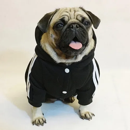 Vista 7 de Weowin - Traje para mascotas – Lindo suéter con capucha para perro, ropa de invierno, pijama de 4 patas, color negro para cachorros, perros