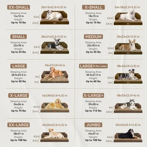 Vista 2 de Cama pequeña para perros y sofá para gatos, camas ortopédicas impermeables para perros pequeños, cama para gatos, sofá para mascotas cómodo