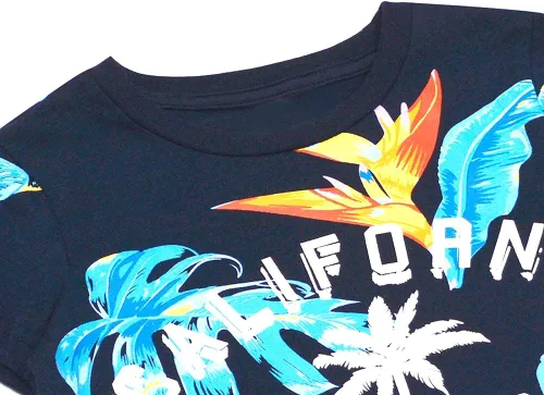 Vista 4 de Frogwill Conjunto de camiseta de algodón y popelina para niños pequeños, ropa de verano hawaiana de animales de la selva