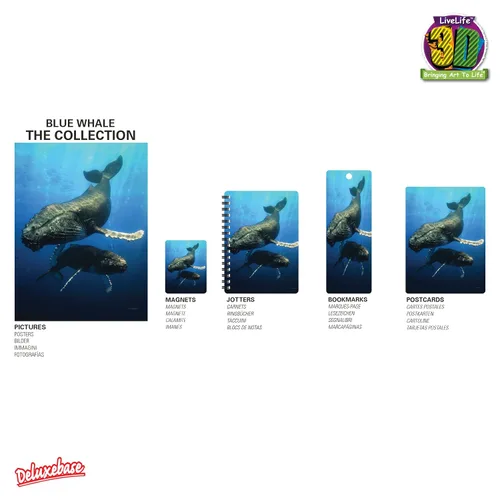 Vista 29 de 3D LiveLife Jotter - Our Solar System from Deluxebase. Lenticular 3D Space 6x4 Spiral Notebook with plain recycled paper pages. Artwork licensed