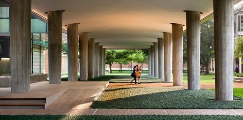 Vista 3 de Hierba mondo enana 72 plantas vivas Ophiopogon Japonicus Nanus Cubierta de suelo de hoja perenne amante de la sombra