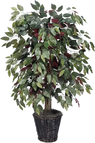 Vista 7 de Vickerman Arbusto artificial Capensia Ficus de 4', contenedor de plástico marrón.