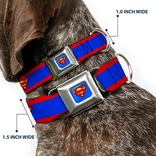 Vista 2 de Collar de perro Hebilla de cinturón de seguridad Superman Shield Stripe Rojo Azul 9 a 15 pulgadas 1.0 pulgadas de ancho