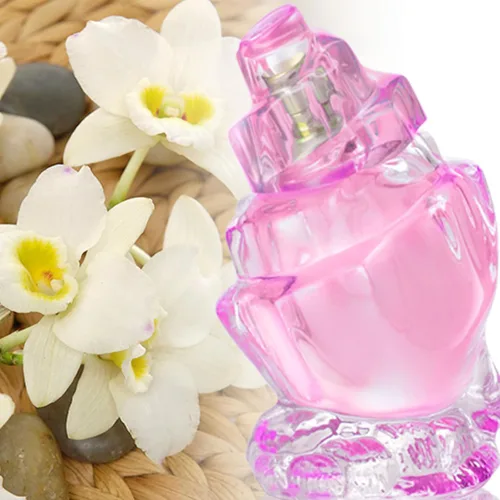 Vista 4 de Zermat Caribe Perfume de larga duración para mujer Perfume floral con notas de perfume de rosa y almizcle de vainilla Colonia para mujer