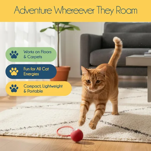 Vista 5 de Oh My Cat! Juguetes interactivos para gatos: suministros eléctricos automáticos para gatos aburridos de interior, gatitos y mascotas adultas