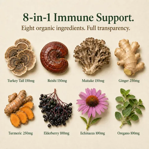 Vista 4 de Greenworks Nature's Immune Suplemento orgánico de apoyo inmunológico para adultos Mezcla diaria de saúco, equinácea, cúrcuma, jengibre y hongos