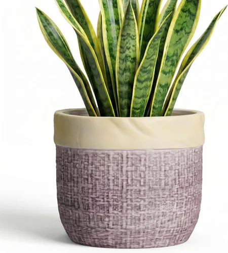 Vista 20 de Macetas de cerámica para plantas, maceta de 6 pulgadas para plantas suculentas de interior, macetas redondas con orificio de drenaje, macetas Azul