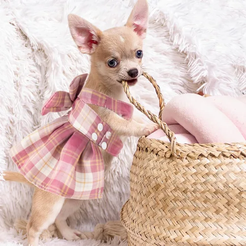 Vista 5 de Potchen Juego de 4 piezas de bonito vestido a cuadros para perro con arnés de lazo y correa para perros pequeños, ropa de cachorro para niñas
