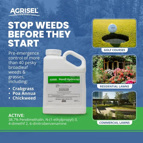 Vista 2 de Agrisel Pendi Hydrocap Herbicida fórmula pre-emergente, eficaz en más de 40 malezas y hierbas de hoja ancha, sin manchas, se mezcla fácilmente