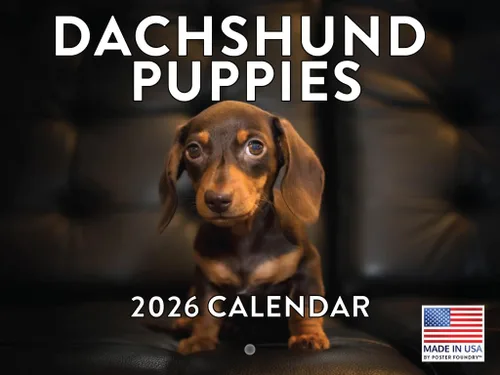 Vista 126 de Calendario mensual de pared Airedale Terrier Dog 2027 rojo (Airedale Terrier)