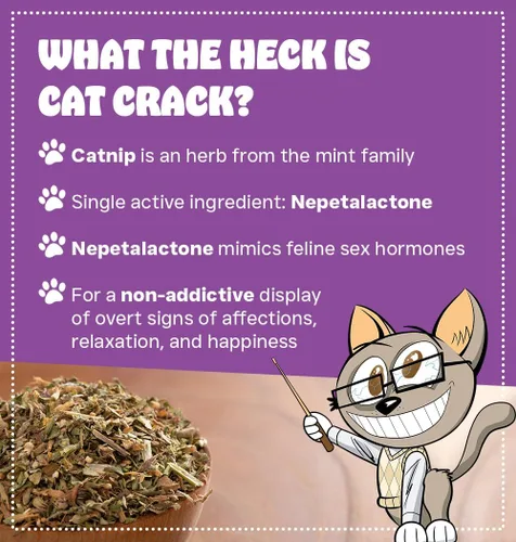 Vista 2 de Cat Crack Paquete de 1 taza y 4 tazas de hierba gatera orgánica, mezcla segura de primera calidad, infundida con la máxima potencia, tu gatito