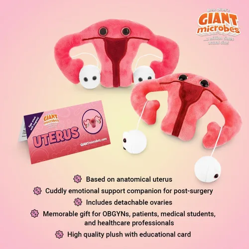 Vista 5 de GIANT MICROBES Juguete de peluche de útero, regalos de histerectomía, conciencia de endometriosis, regalos feministas, regalo de fertilidad, regalo