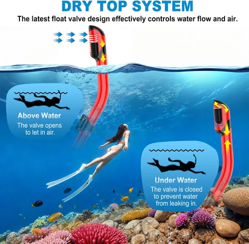 Vista 5 de Equipo de esnórquel para adultos, conjunto de esnórquel máscara de buceo con tubo seco superior, gafas de natación para adultos con cubierta