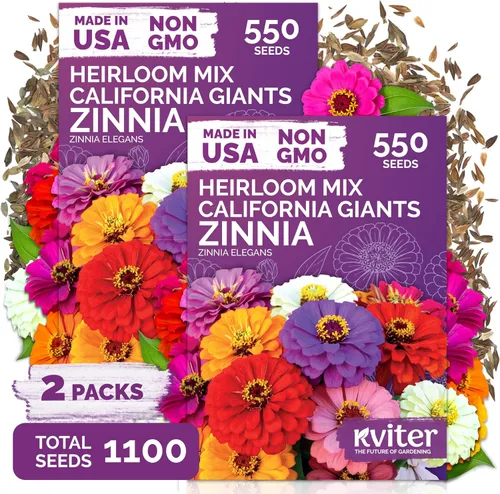 Vista 13 de KVITER Mezcla de 100 semillas de calabaza pequeñas (Cucurbita Pepo), paquete de 2 – Calabazas ornamentales de otoño, sin OGM – Semillas de reliquia