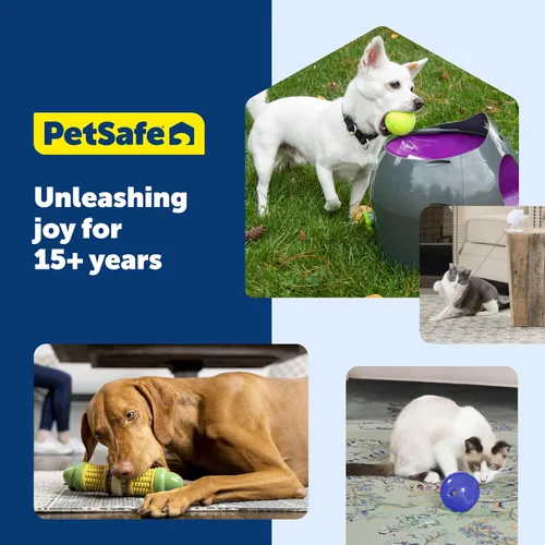 Vista 7 de PetSafe Busy Buddy Cravin Corncob - Juguete para masticar, sin BPA, con aroma a mantequilla de goma, rompecabezas interactivo para mascotas