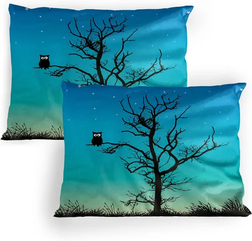 Vista 6 de Lunarable Nature Pillow Sham Set of 2, Sunset in a Winter Park Russia Sun Rays Through Trees Pathway to Forest, Quality Microfiber Bedding Item for