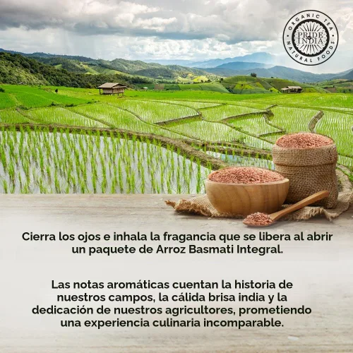 Vista 6 de Pride Of India - Arroz Basmati marrón extra largo - Grano saludable envejecido naturalmente, tarro de 1.5 libras