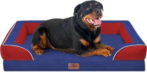 Vista 157 de Comfort Expression - Cama ortopédica para perros medianos, 28 x 19 pulgadas, cama impermeable y de apoyo de espuma con cojines removibles, sofá