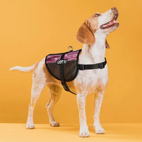 Vista 48 de Dogline MaxAire - Chaleco de malla para perros de 13 a 16 pulgadas y 2 parches extraíbles Adopt Me, talla S, color negro