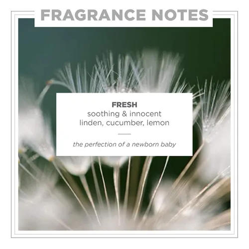 Vista 3 de Zents Eau de Perfume (fresco) Flor de tilo, pepino y limón, 1.69 oz con jabón de manos y cuerpo (fresco) 10 oz limpiador hidratante