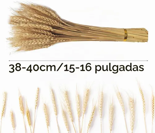 Vista 2 de Paquete de 100 tallos de trigo seco natural para decoración del hogar, manualidades
