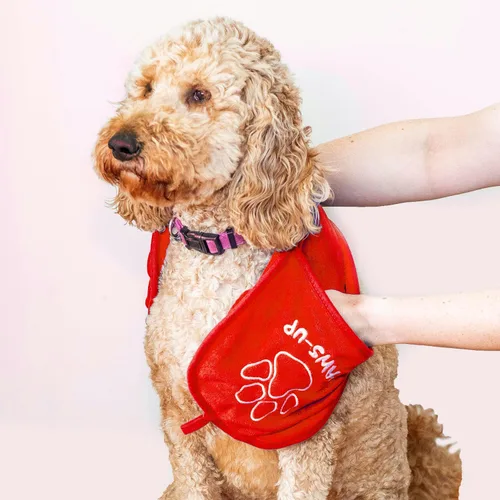 Vista 3 de Toalla de limpieza Paws-up Paw para perros, elimina el barro, la suciedad, la hierba, los alérgenos de la arena, lavable a máquina, también es ideal