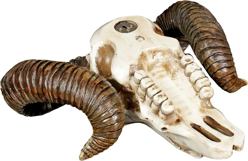 Vista 4 de Pacific Giftware Trofeo de pared de baphomet Ram Skull and Horns Baphomet Decor de 11 pulgadas
